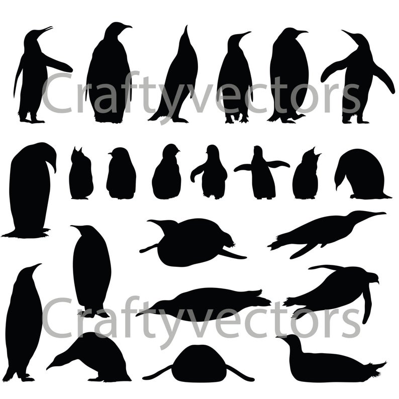 794x794 Emperor Penguin Silhouettes Vector Etsy