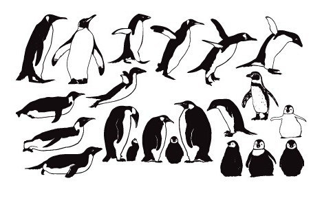 484x298 Free Penguin Silhouette Set Vector