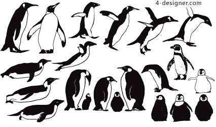 426x252 Designer Penguin Vector
