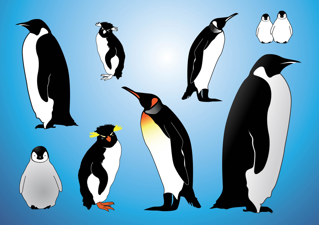 1024x724 Penguins Vectors Vector Art Graphics