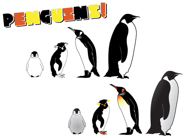 601x447 Penguins Vector Download Free Vector Art Free Vectors