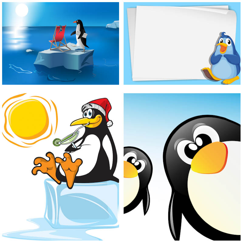 800x800 Penguins Vector Vector Graphics Blog