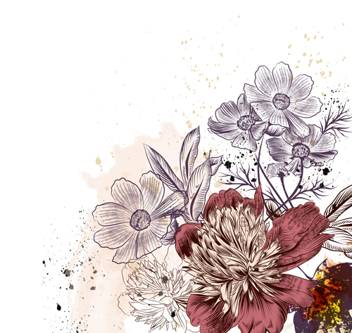 500x473 Peony And Cosmos Flowers Vector Illustration Free Download