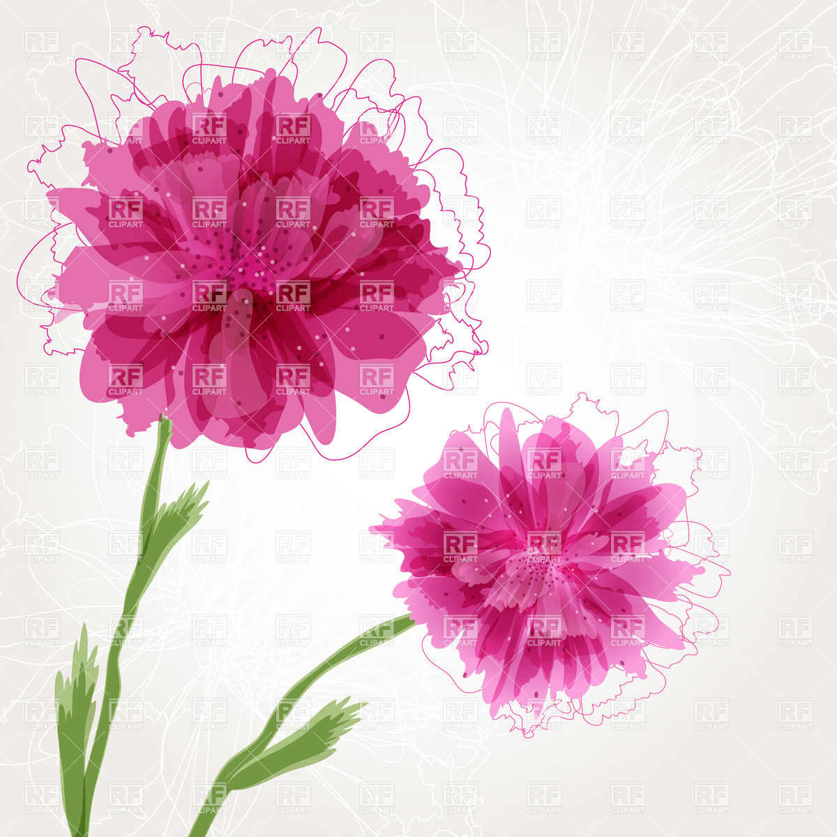 1200x1200 Peony Flower With Pink Buds Vector Image Of Plants And Animals