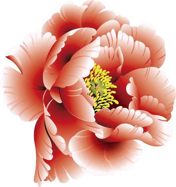 600x636 Beautiful Peony Flower Vector Graphics My Free Photoshop World