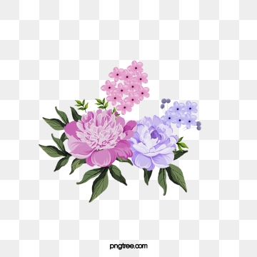 Peony Png, Vector, And Clipart With Transparent Background 360x360 Peony Png, Vector, And Clipart With Transparent Background