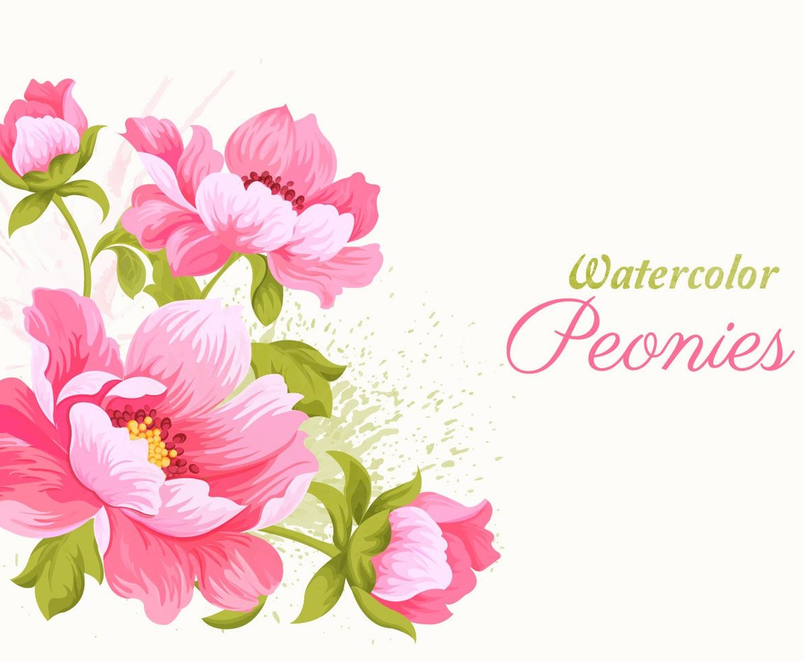 Pink Watercolor Peonies Vector Illustration Vector Art Graphics 1136x936 Pink Watercolor Peonies Vector Illustration Vector Art Graphics