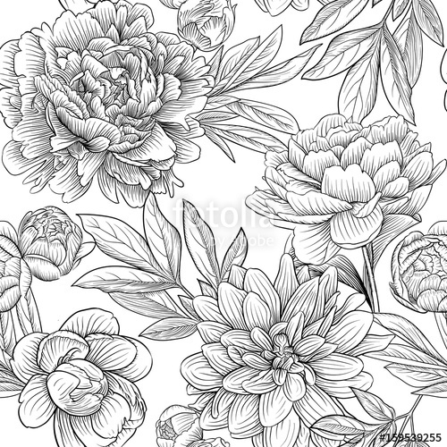 Peony Vector Seamless Pattern Stock Image And Royalty Free Vector 500x500 Peony Vector Seamless Pattern Stock Image And Royalty Free Vector