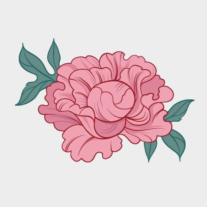 Free Peony Vector Image Files, Vectors Graphics 660x660 Free Peony Vector Image Files, Vectors Graphics