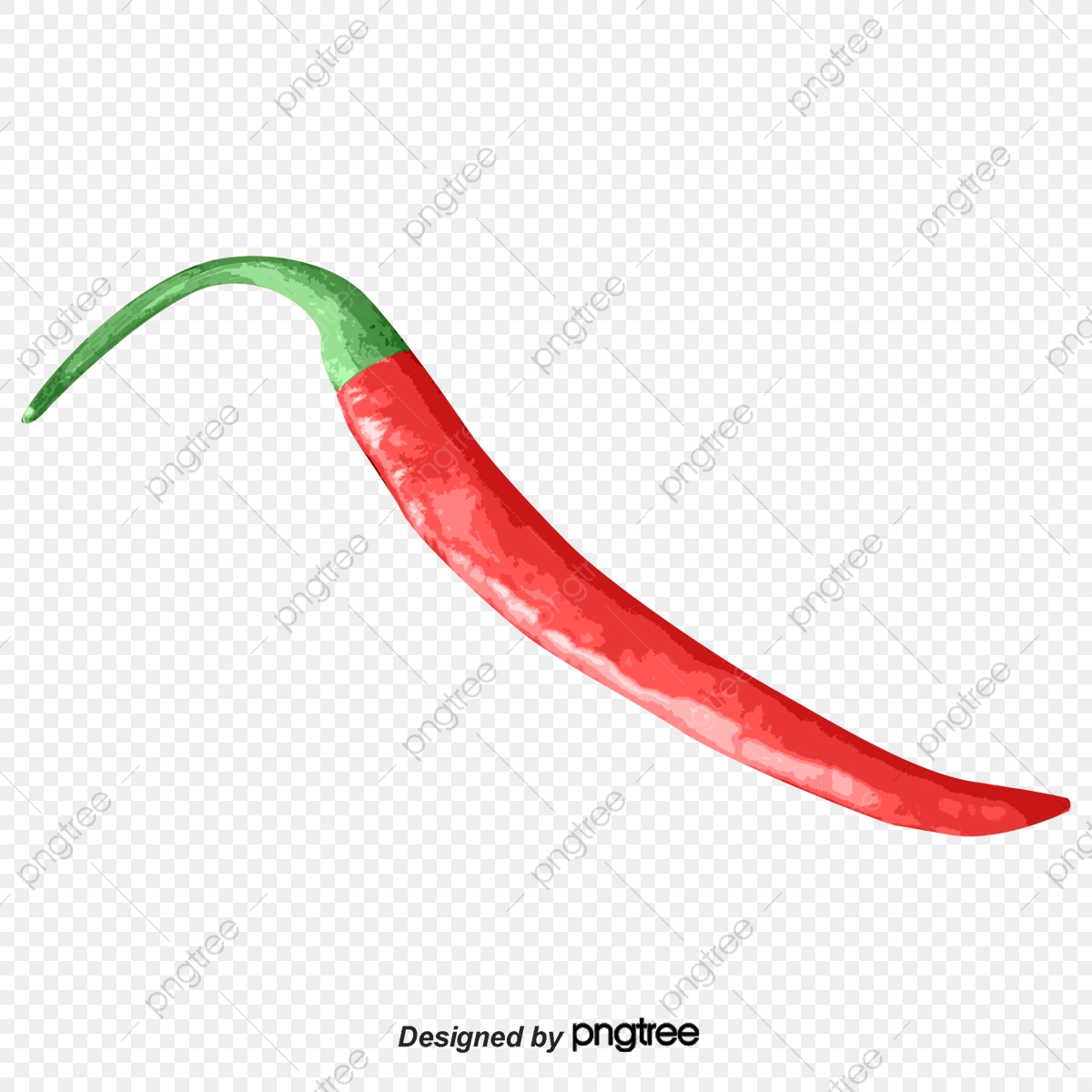 Pepper Vector