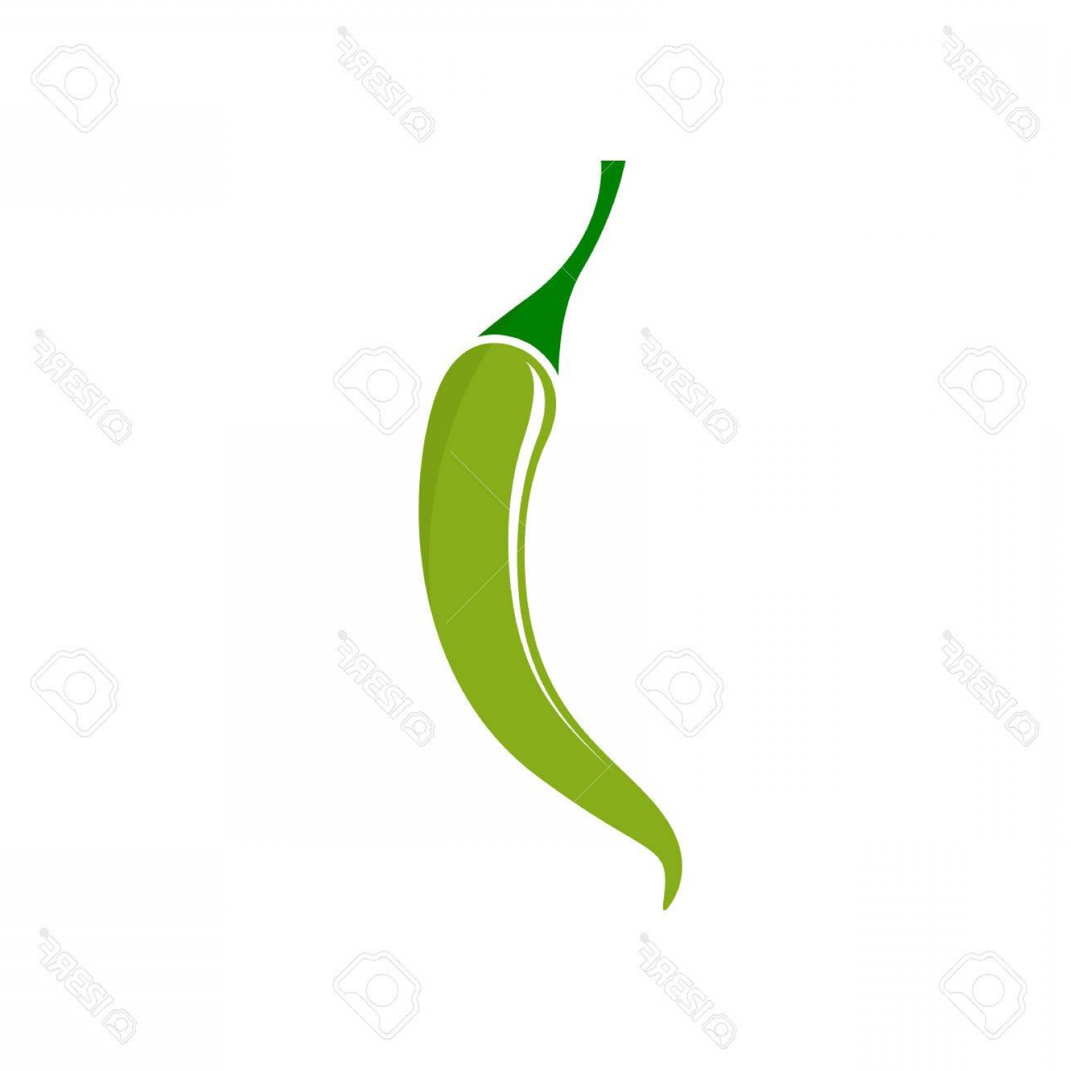 1560x1560 Green Pepper Vector Cultracing