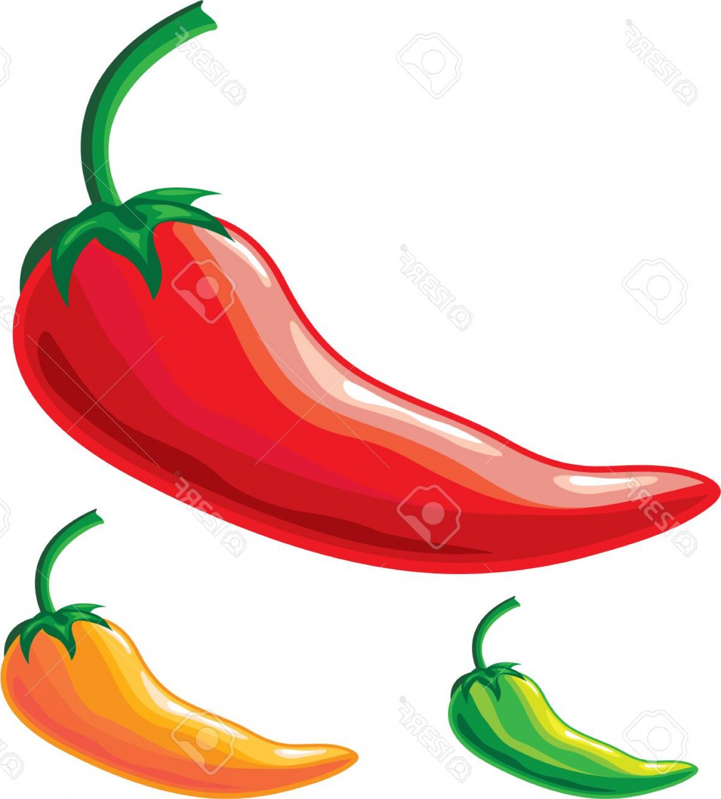 1407x1560 Pepper Vector Clip Handandbeak