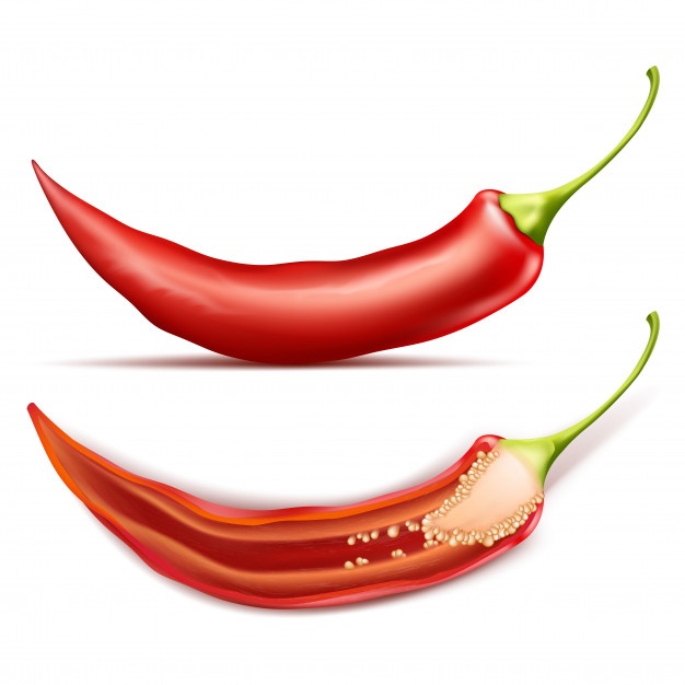 626x626 Pepper Vectors, Photos And Free Download