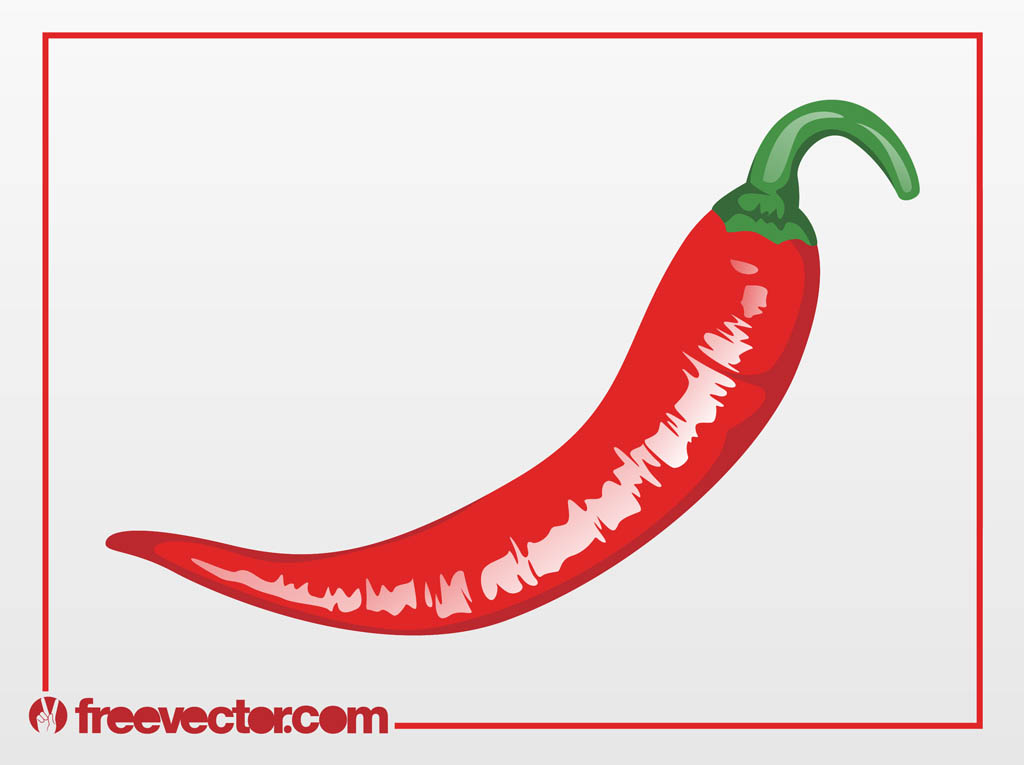 1024x765 Chili Pepper Vector Vector Art Graphics