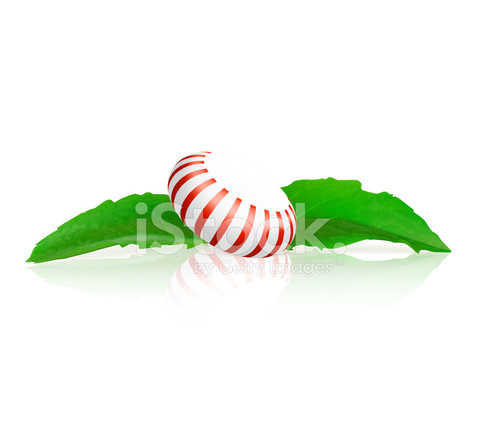 481x440 Peppermint Candy Vector Illustration Stock Vector