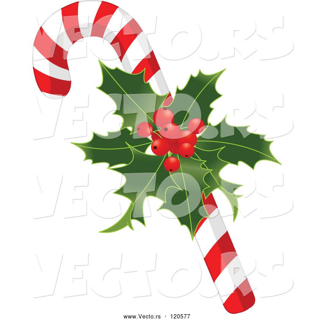 1024x1044 Vector Of Cartoon Christmas Peppermint Candy Cane With Holly