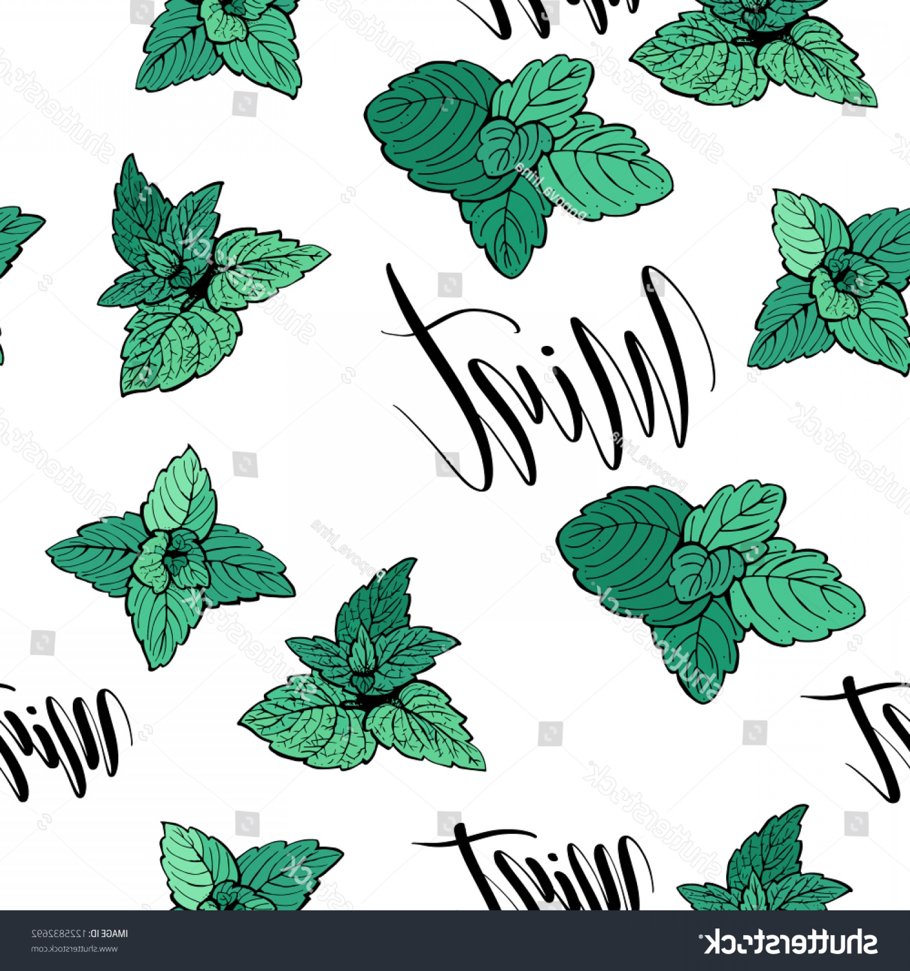 1800x1920 Peppermint Vector Pattern Hand Drawn Seamless Catamart