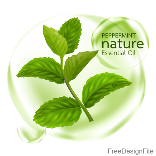 500x500 Peppermint Essential Oil Cosmetics Vector Background Free Download