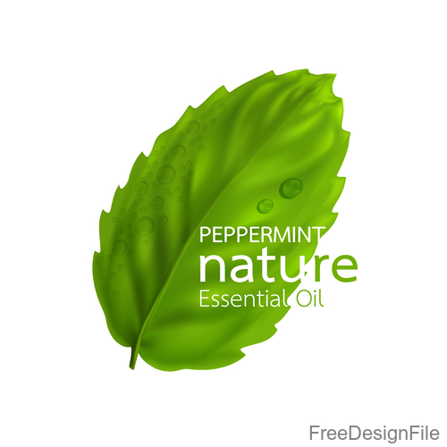 500x500 Peppermint Essential Oil Vector Background Free Download