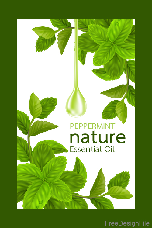 500x750 Peppermint Natural Essential Oil Cosmetics Poster Vector Free Download