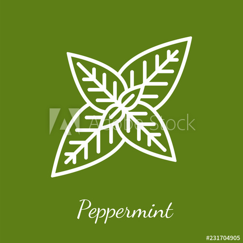 500x500 Peppermint Vector Icon
