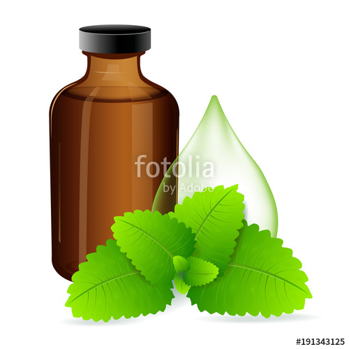 500x500 Flask Of Peppermint Oil Peppermint Leaves Vector Illustration