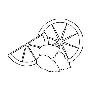 300x300 Lemons Slices And Peppermint Vector Illustration Graphic Design