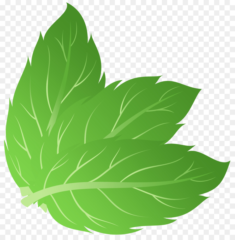900x920 Green Leaf Background Clipart