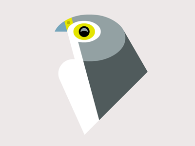 400x300 Peregrine Falcon Wip Animals In Peregrine Falcon, Hawk