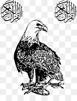 260x340 Peregrine Falcon Png Free Download