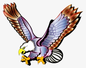 300x239 Peregrine Falcon Png Images