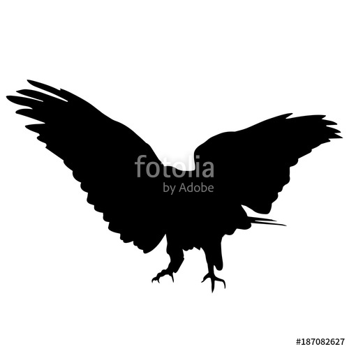 500x500 Peregrine Falcon Silhouette Vector Graphics Stock Image