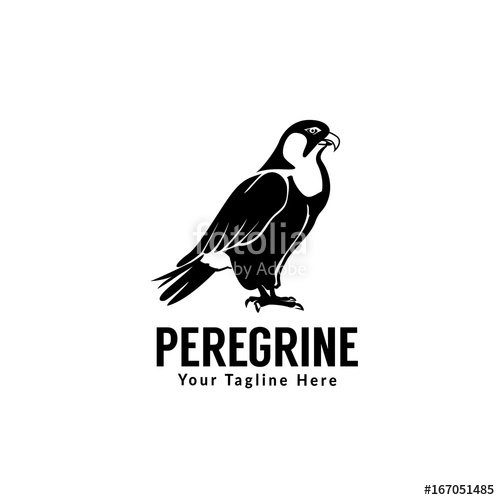 500x500 Peregrine Bird Stock Image And Royalty Free Vector