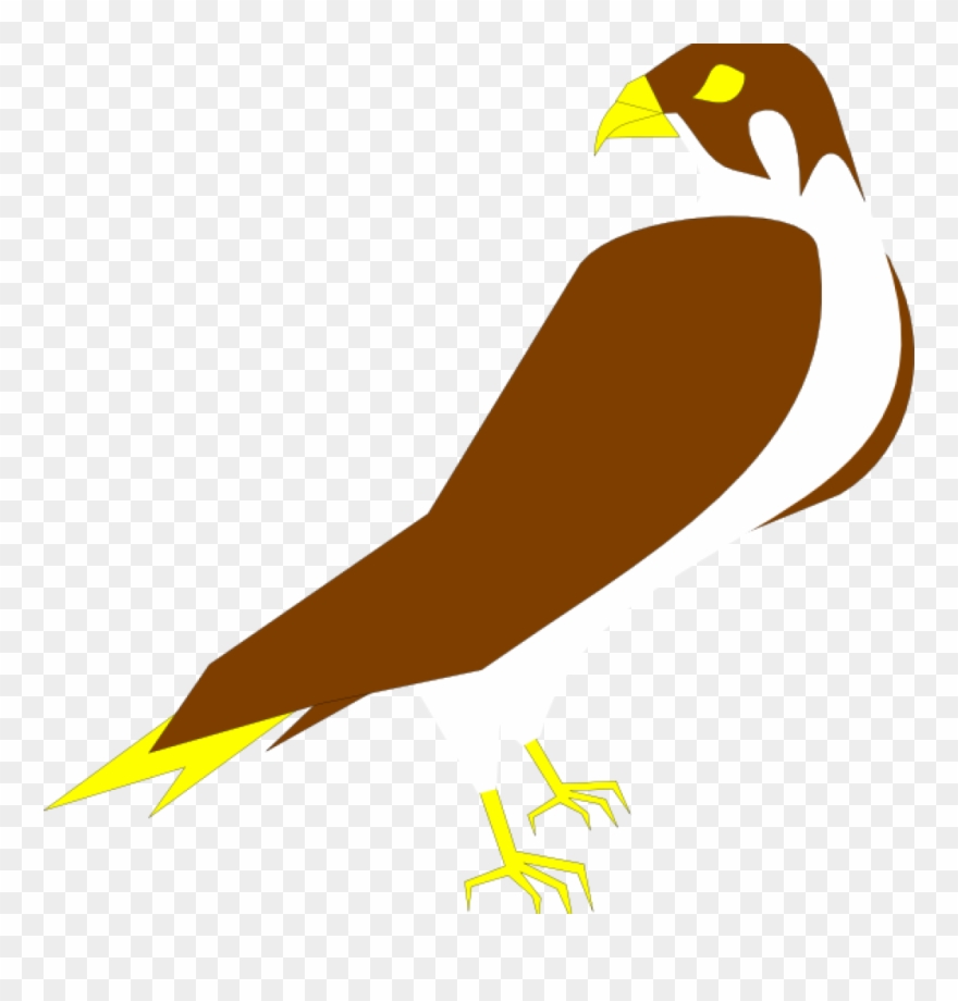 880x920 Falcon Clipart Falcon Clip Art At Clker Vector Clip