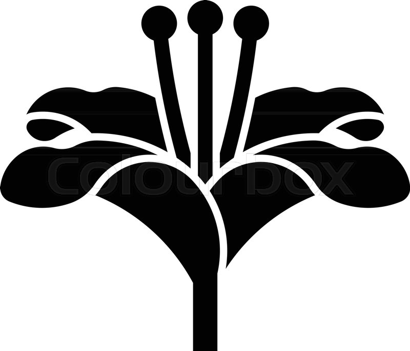 800x684 Glyph Lily Flower Pixel Perfect Vector Stock Vector Colourbox