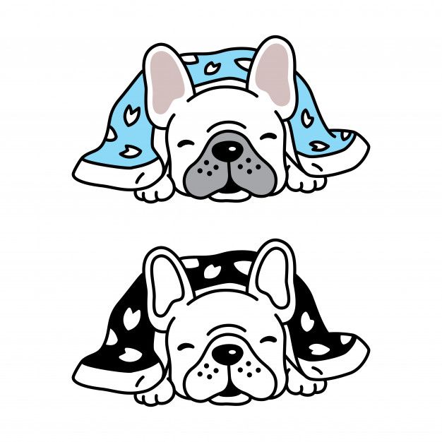 626x626 Perro Vector Bulldog Cachorro Dormir Manta Dibujos