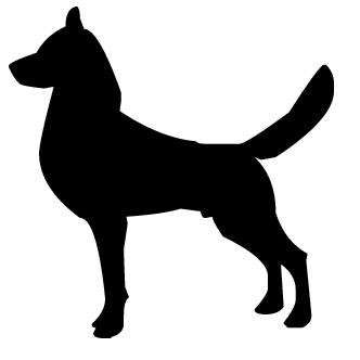 332x332 Perro Vector Png Png Image