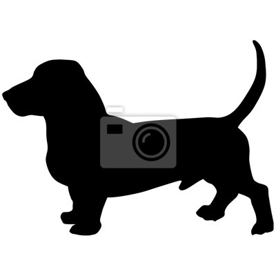 400x400 Silueta De Un Perro Vector Fotomural Fotomurales