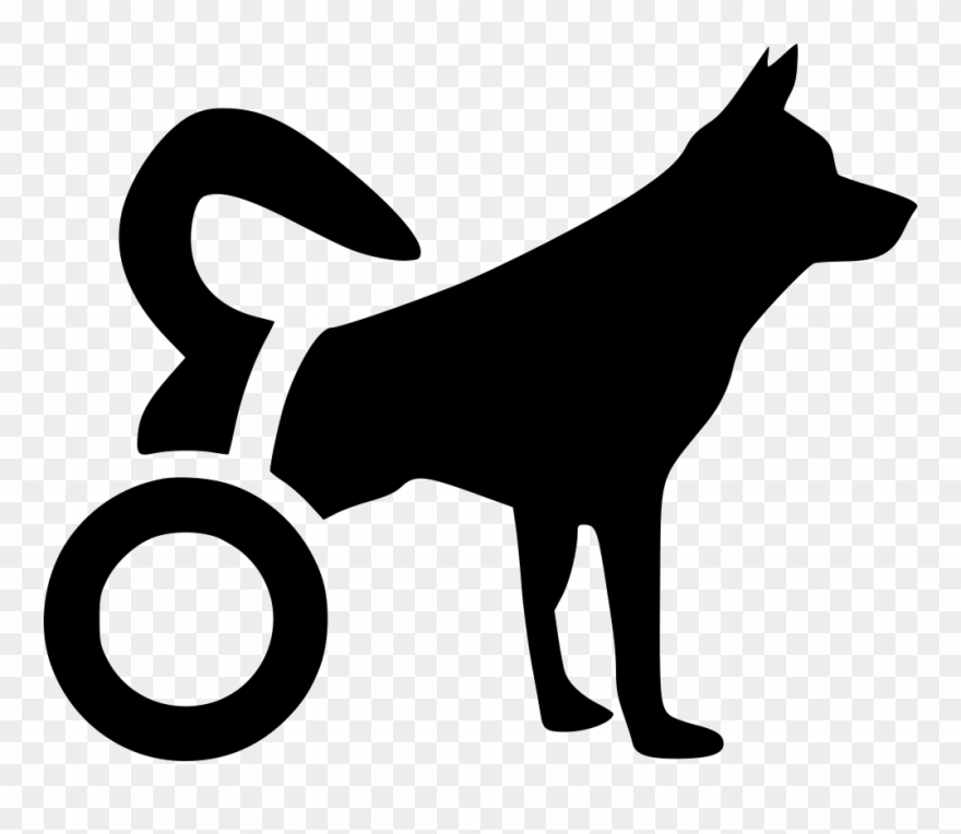 880x764 Swash Vector Dog Tail Image Library Stock