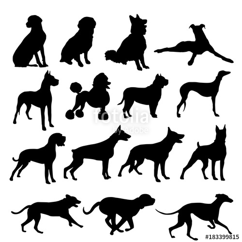500x500 Silueta Perro Stock Image And Royalty Free Vector