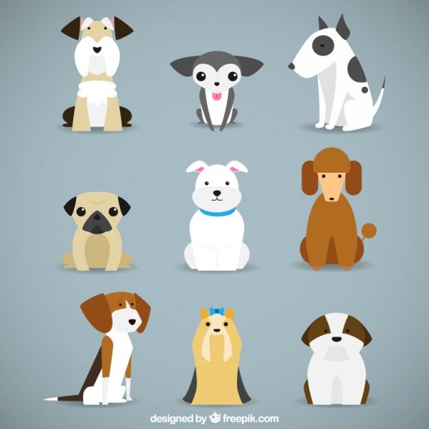 626x626 De Razas De Perro Vector Gratis Vectores En