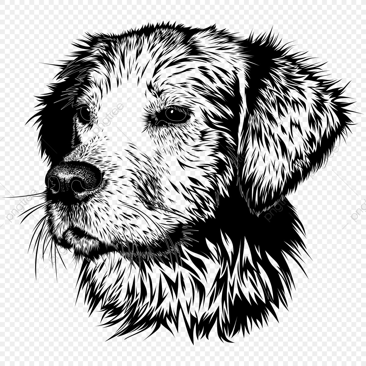 1200x1200 Perro Dog Vector Red Dogs, Mammal, Dog, Canidae Png Transparent
