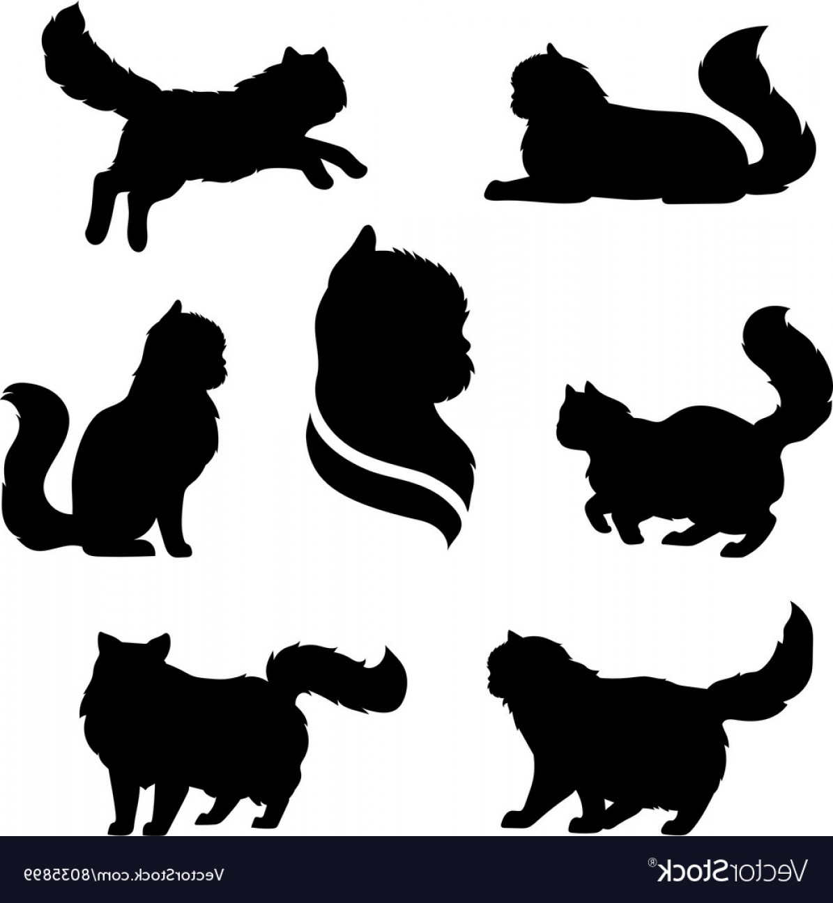 1195x1296 Persian Cat Icons And Silhouettes Vector Handandbeak