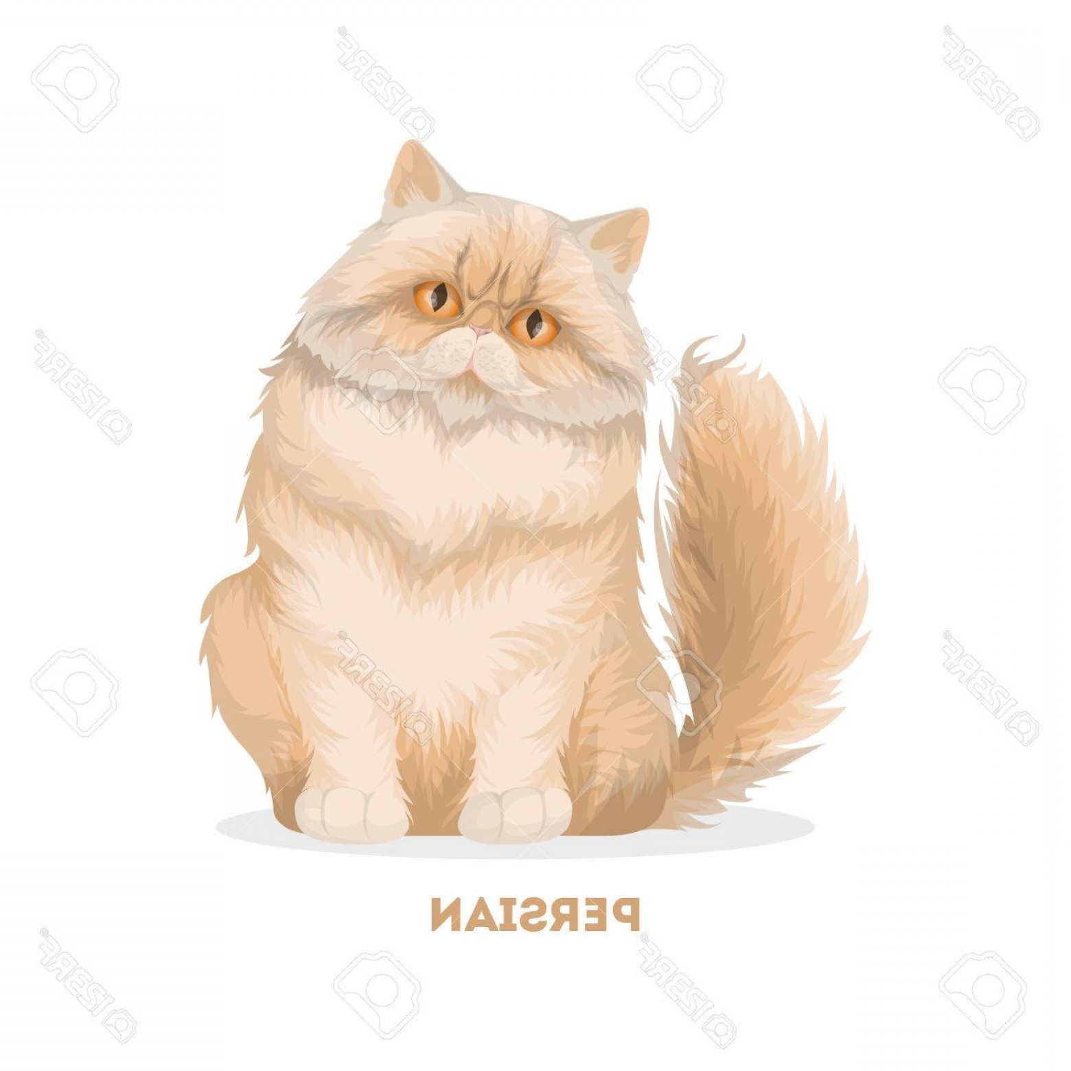 1560x1560 Persian Cat Vector Handandbeak