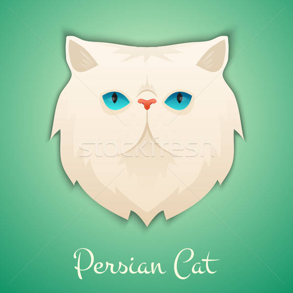600x600 Persian Cat Vector Illustration Dariia Urvachova