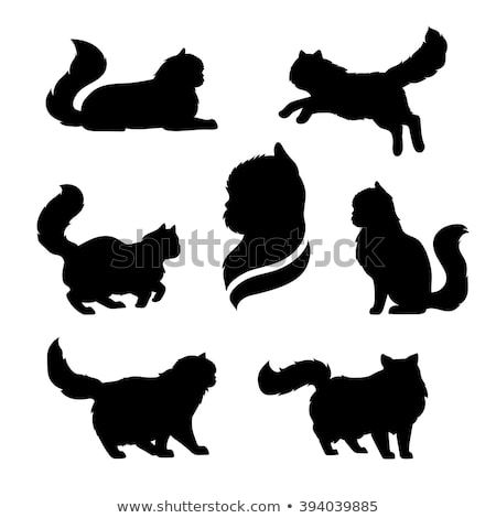 450x470 Pin On Tattoos