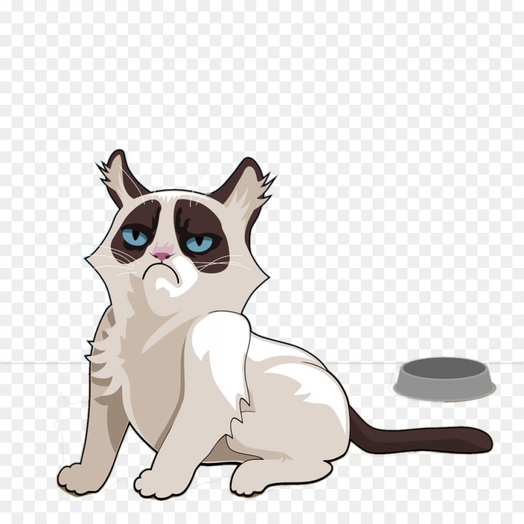 1080x1080 Png Persian Cat Grumpy Cat Mug Christmas Decoration Ch Soidergi