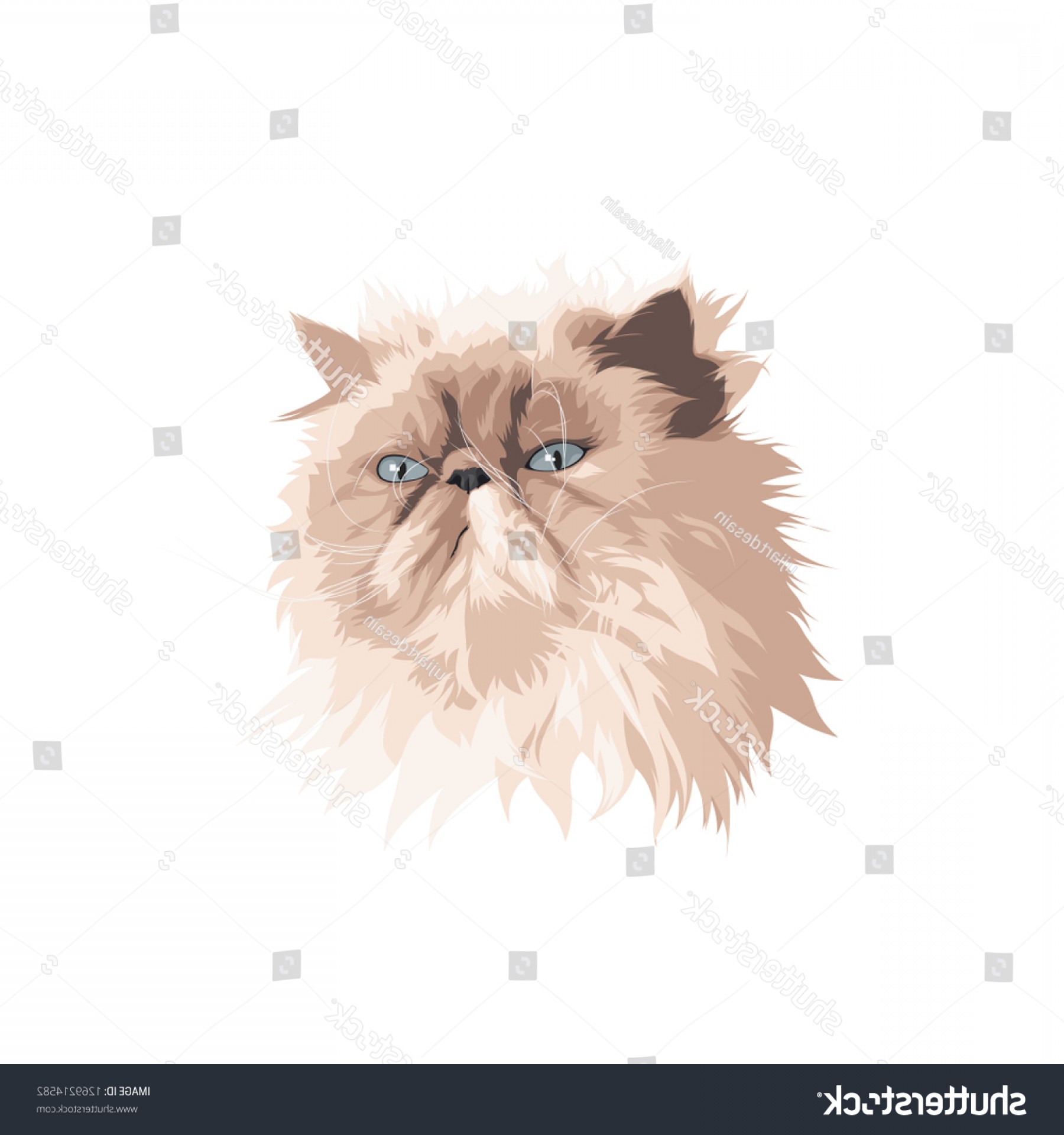 1800x1920 Vector Funniest Persian Cat White Background Handandbeak