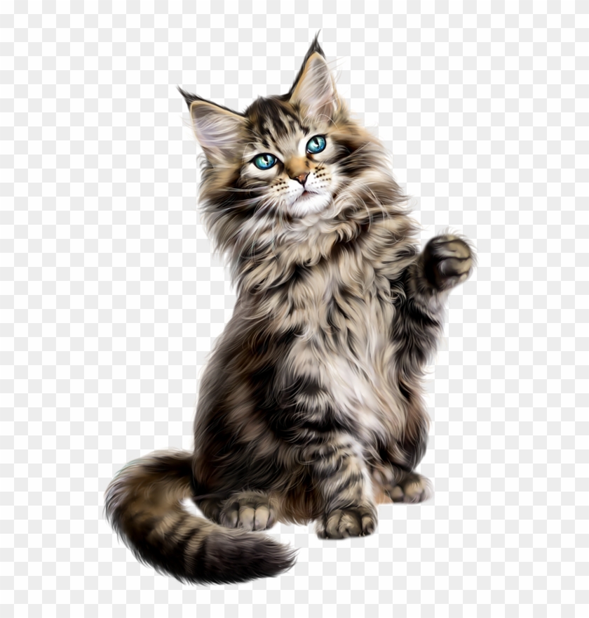 840x880 Collection Of Free Vector Cat Persian