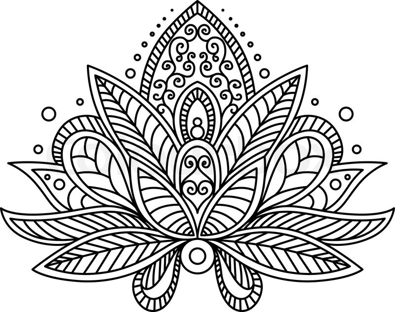 800x632 Persian Or Turkish Paisley Flower Stock Vector Colourbox